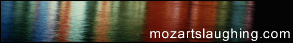 mozartslaughing.com